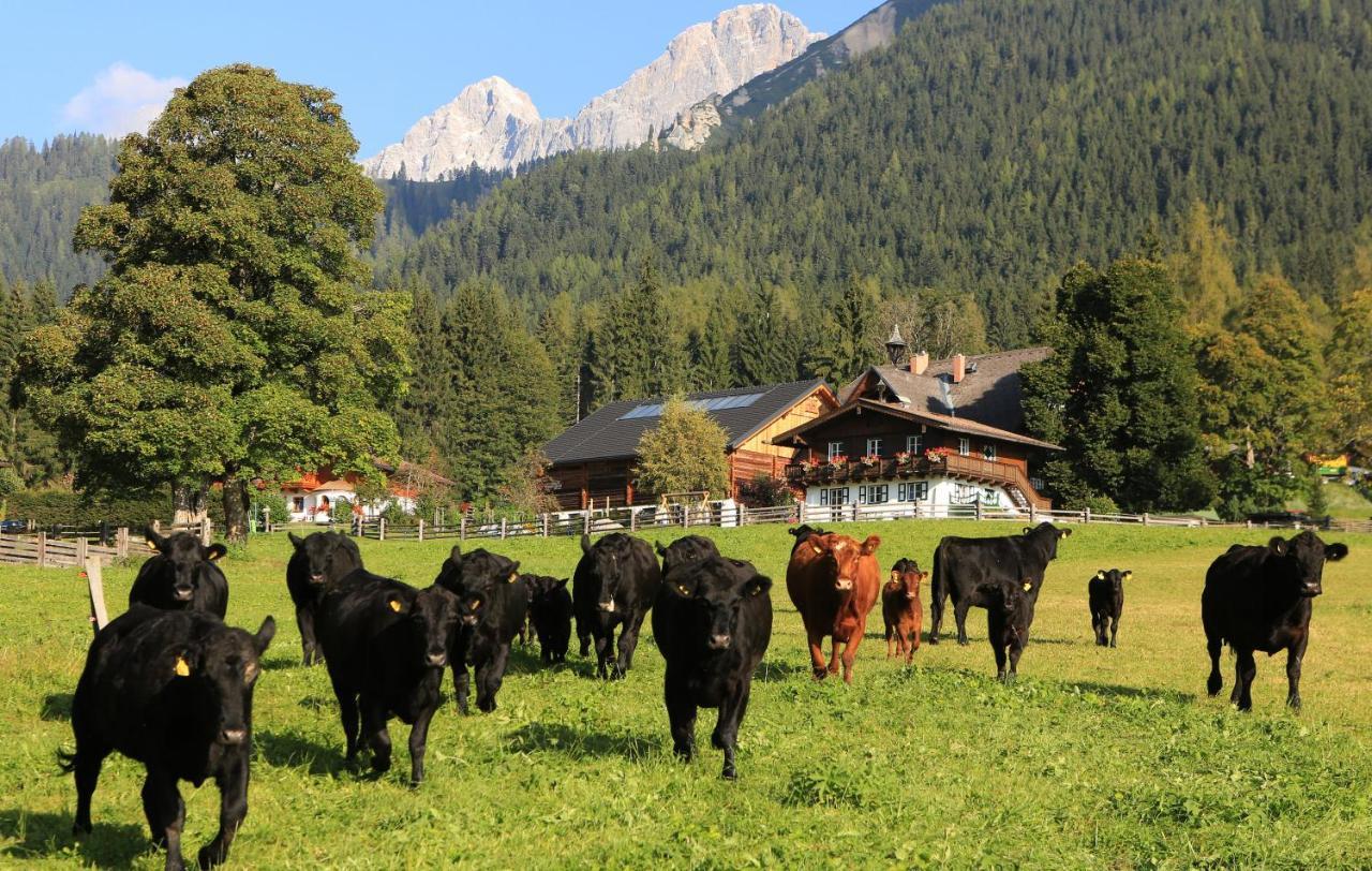 Hotel Laerchenhof Ramsau am Dachstein Luaran gambar